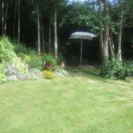 Couette-café Elderberry Westport