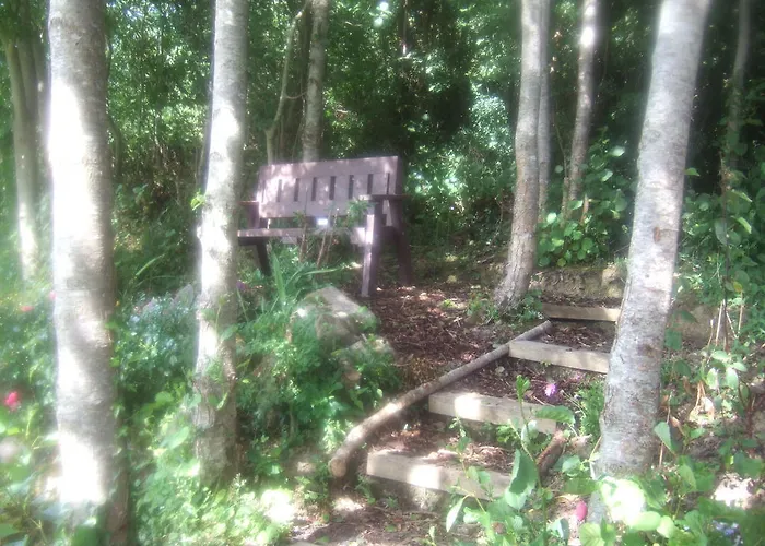 Bed and breakfast Elderberry 3*