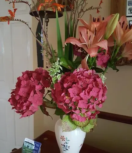 Elderberry Bed and breakfast