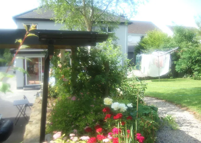 Elderberry 웨스트포트