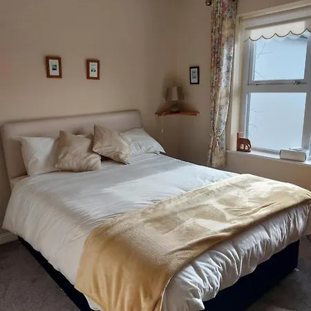 接骨木住宿加早餐旅馆 3*