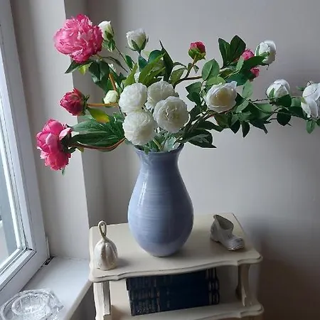 住宿加早餐酒店 接骨木住宿加早餐旅馆 3*