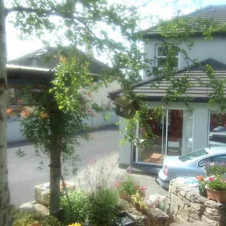 接骨木住宿加早餐旅馆