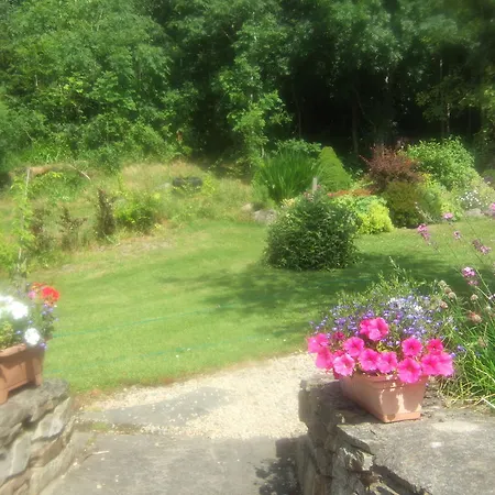Bed & Breakfast Elderberry 3*