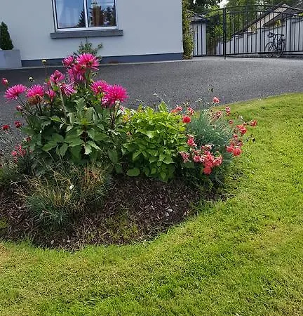 接骨木住宿加早餐旅馆 韦斯特波特