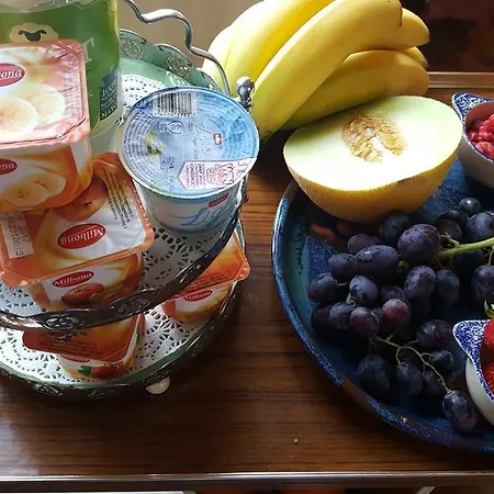 接骨木住宿加早餐旅馆