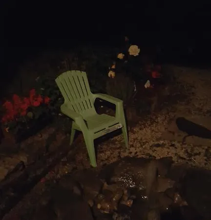 接骨木住宿加早餐旅馆