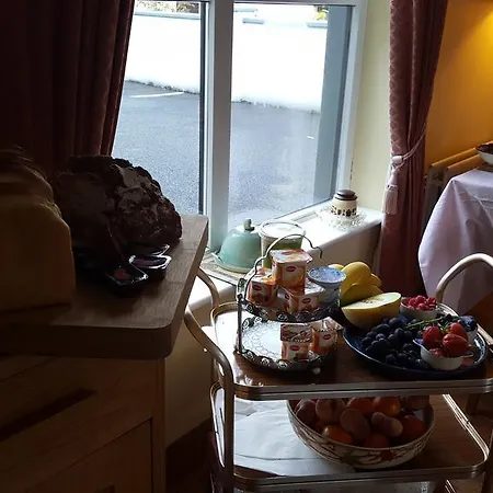 接骨木住宿加早餐旅馆