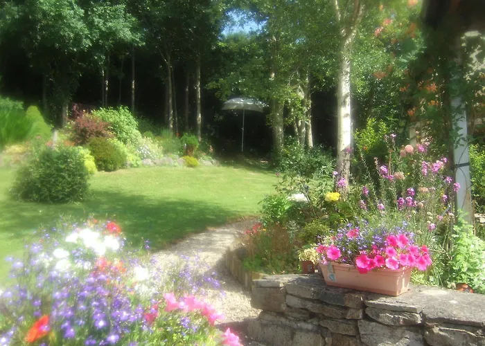 Bed & Breakfast Elderberry