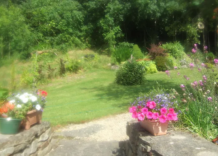 Bed & Breakfast Elderberry 3*